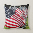Search for danita delimont cushions America