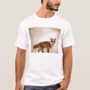 Search for migrator tshirts Molter