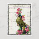 Search for carte postcards Oiseau