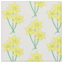 Search for daffodils Flowers