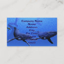 Search for marine creature business cards Nautical