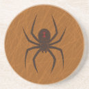 Search for web coasters Spider
