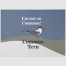 Search for terns Animal