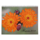 Search for 2009 photography Flowers