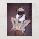 Search for pug kid postcards Funny