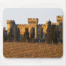 Search for the vineyard electronics Vinifera
