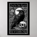 Search for the raven edgar allan poe posters Skull