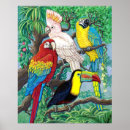 Search for toucan birds posters Parrot