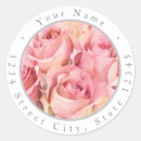 Search for rose return photography Roses