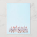 Search for space stamp postcards Animal