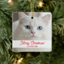 Search for fluffy christmas tree decorations Cat