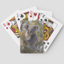 Search for koala bear playing cards Wildlife