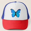 Search for butterfly hats Nature