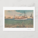 Search for tarpon postcards View