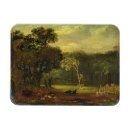 Search for palmer magnets 1805 81