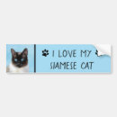 Search for paint bumper stickers Cute