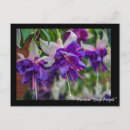 Search for deep purple postcards Lilac