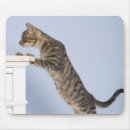 Search for full body mousepads Vertical