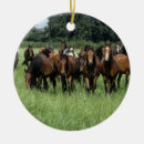 Search for thoroughbred horse christmas tree decorations Grass