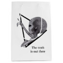 Search for alien gift bags Extraterrestrial