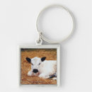 Search for hay square key rings Agriculture