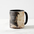 Search for german shepherd puppies mugs Animal