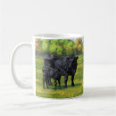 Search for angus mugs Livestock