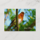 Search for robin business cards Animals
