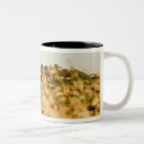Search for siena mugs Europe