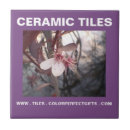 Search for plum purple tiles White