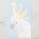 Search for mohawk Bird portrait