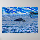 Search for whale posters Nautical