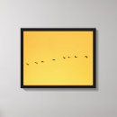 Search for fine photography Nature
