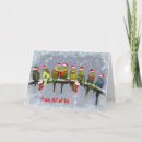 Search for budgie christmas cards Cute