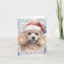 Search for poodle christmas cards Winter