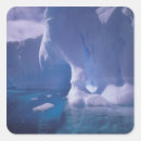 Search for antarctic stickers Icescape