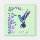 Search for bird design magnets Hummingbird