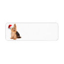 Search for yorkie return address labels Dog