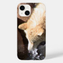 Search for grey wolf iphone cases Wolves