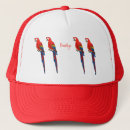 Search for parrots hats Bird