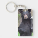 Search for big bear key rings Nature