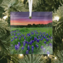 Search for springtime christmas tree decorations Texas bluebonnet