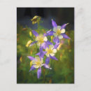 Search for aquilegia postcards Blue