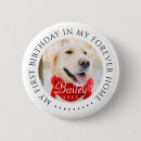 Search for forever badges Pet