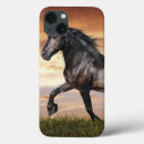 Search for black horses electronics Wild horse
