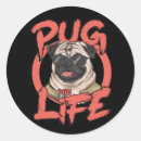 Search for kawaii pug stickers Puppy
