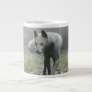 Search for huskies mugs Dog