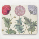 Search for papaver mousepads Botanical