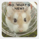 Search for keep in touch stickers Cute