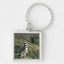 Search for penguin key rings Standing